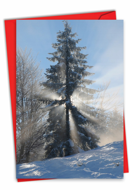 Christmas Sunrise, Printed Christmas Greeting Card - C6655CXS