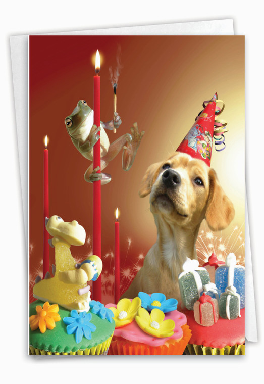 Puppy Love, Printed Birthday Greeting Card - C6546EBDG