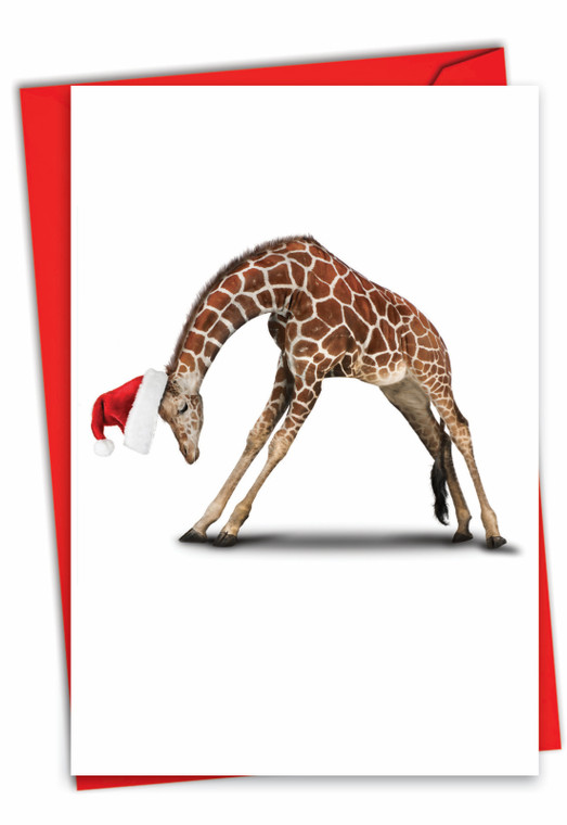 Zoo Yoga, Printed Christmas Greeting Card - C6547BXS Zoo Yoga, Printed Christmas Greeting Card - C6547BXS