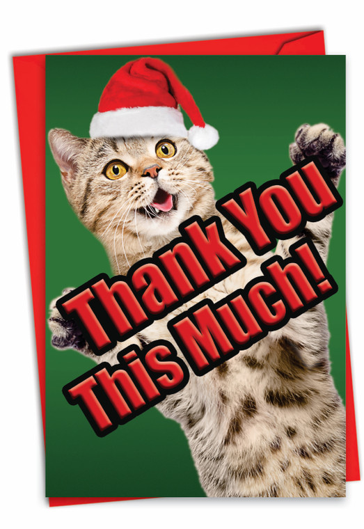 Cat Big Thanks, Printed Christmas Thank You Greeting Card - C2368CXTG