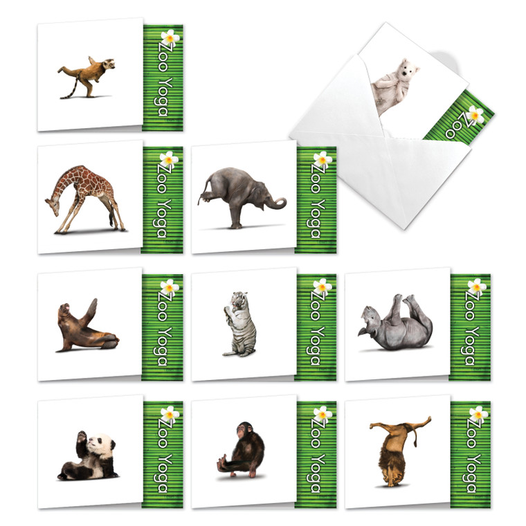 Zoo Yoga, Assorted Set Of Printed Square-Top Blank Greeting Cards - ACQ6547OCB