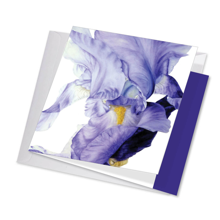 Iridescent Iris, Jumbo Square-Top Birthday Greeting Card - JQ4949DBDG