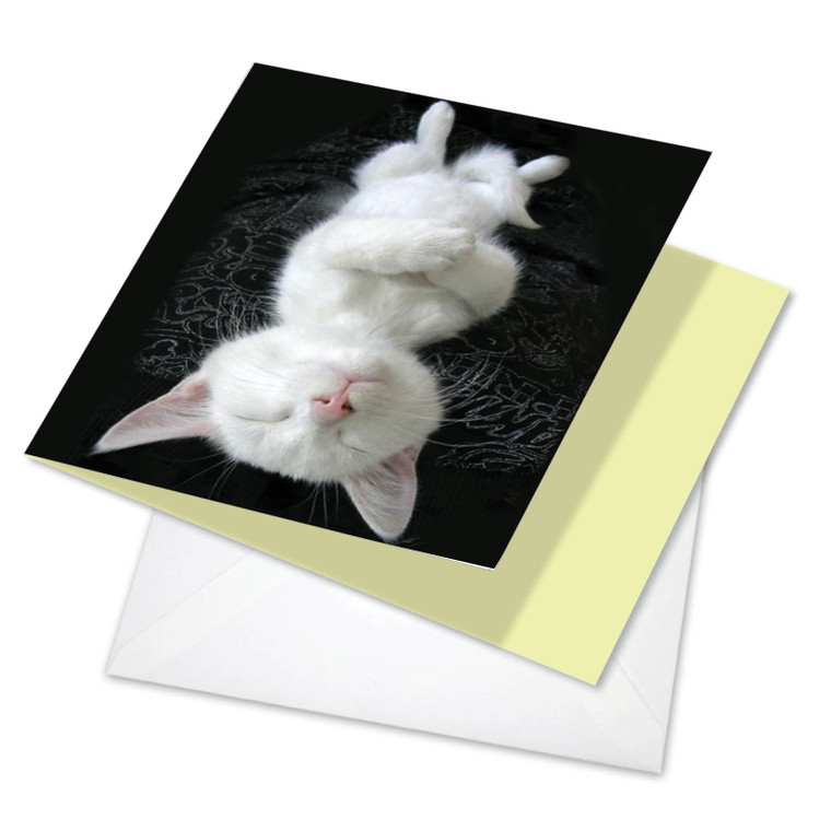 Cat Yoga, Printed Square-Top Birthday Greeting Card - CQ4952ABDG