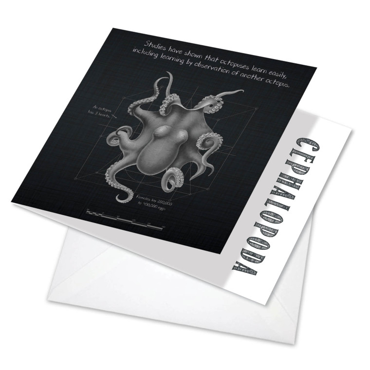 Octo-Facts - Learn, Printed Square-Top Thank You Greeting Card - CQ4957FTYG