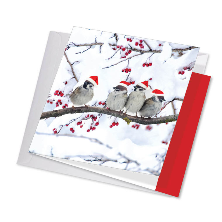 Christmas For The Birds, Jumbo Square-Top Christmas Greeting Card - JQ5030AXSG