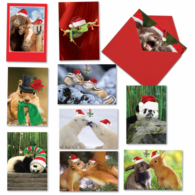 Christmas Creatures, Assorted Set Of Printed Christmas Greeting Cards - AC5636XSG