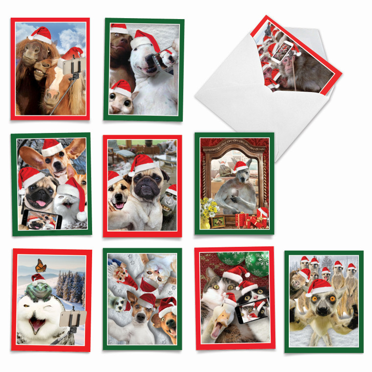 Animal Selfies, Assorted Set Of Christmas Thank You Notecards - AM2373XTG