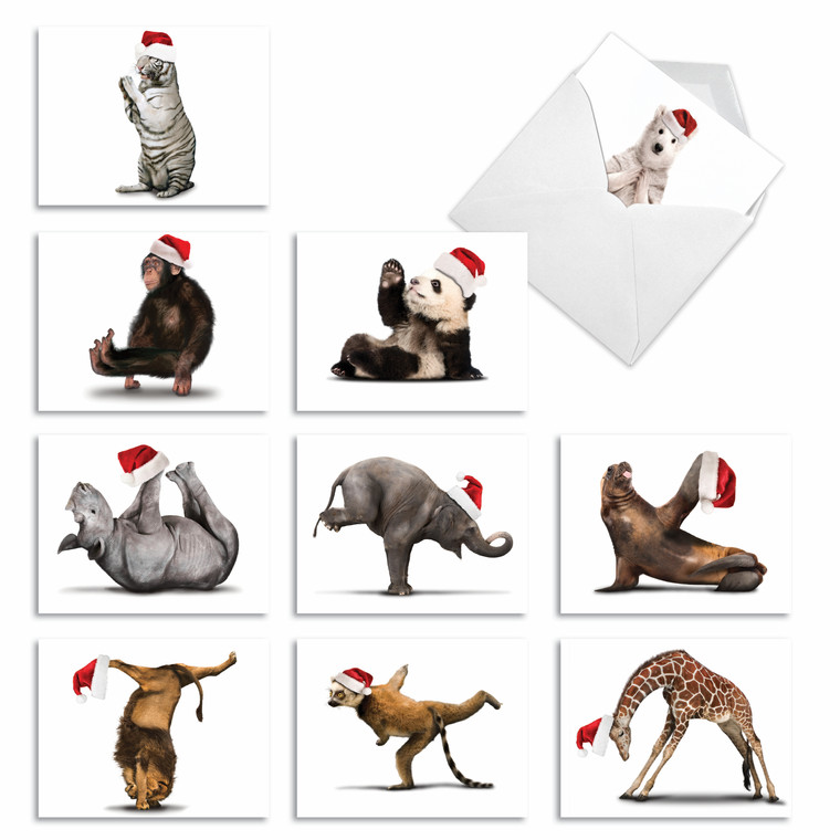 Zoo Yoga, Assorted Set Of Christmas Thank You Notecards - AM6547XTG