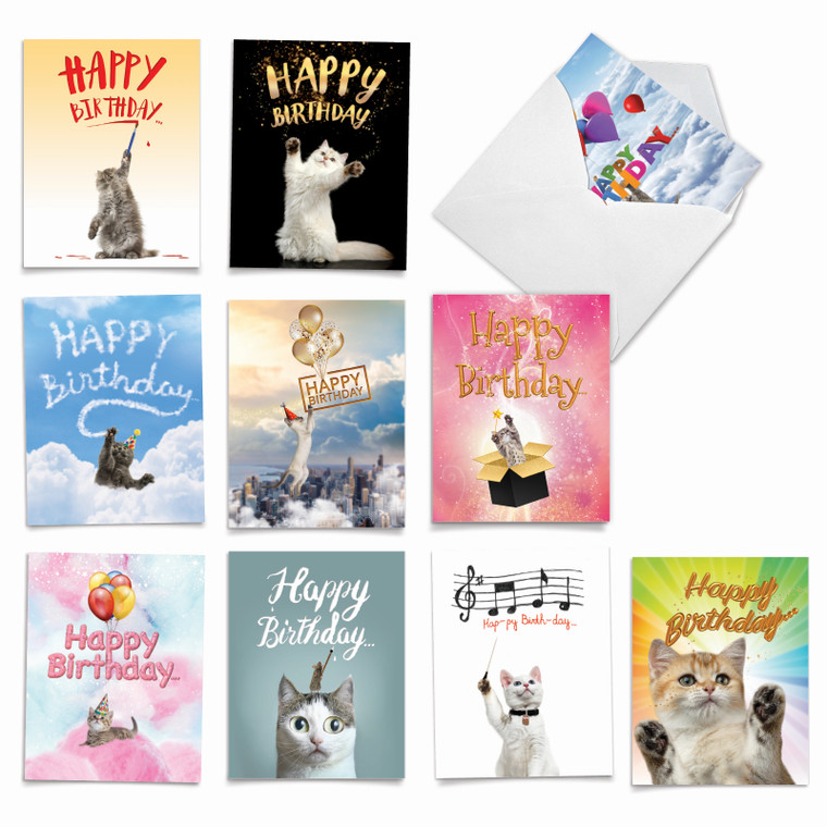 Cat-Sent Greetings, Assorted Set Of Birthday Pet Notecards - AM6112BPG