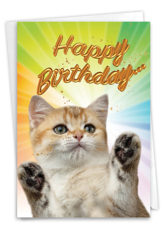 Cat-Sent Greetings, Printed Birthday Greeting Card - C6112IBDG