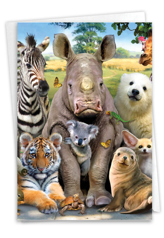 Here's Looking At Zoo, Printed Get Well Greeting Card - C6639AGWG-US