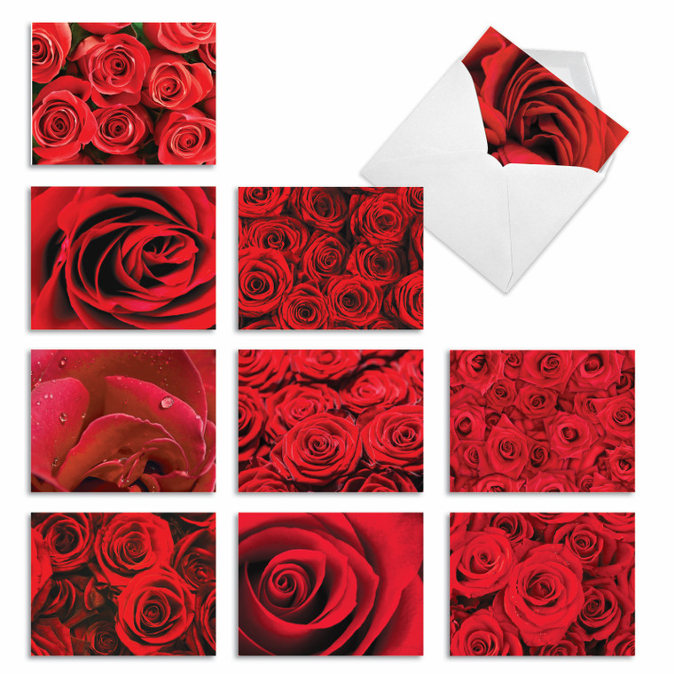 Roses Are Red, Assorted Set Of Blank Notecards - AM3088OCB