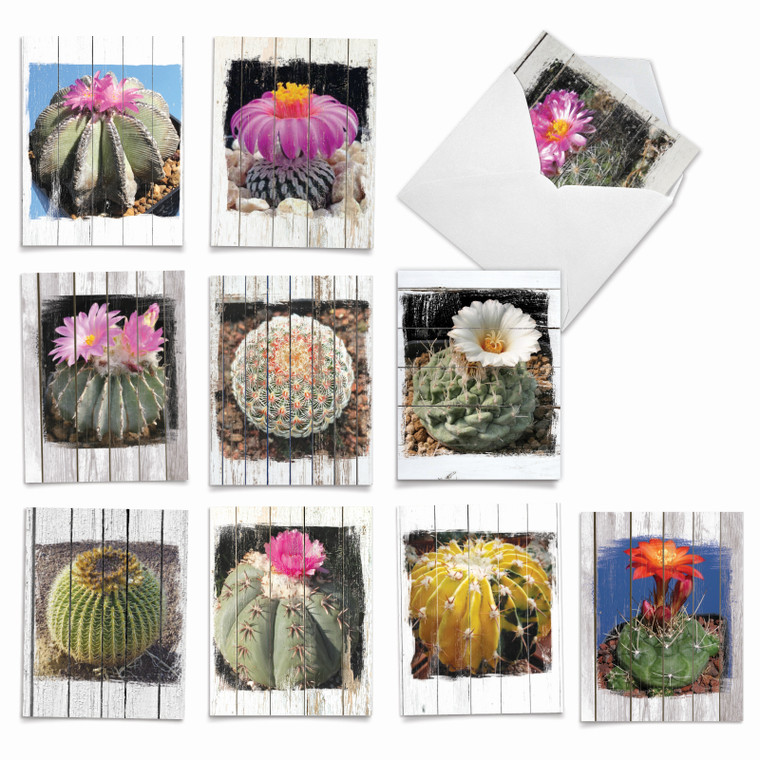 Flowering Cactus Spheres, Assorted Set Of Blank Notecards - AM6439OCB