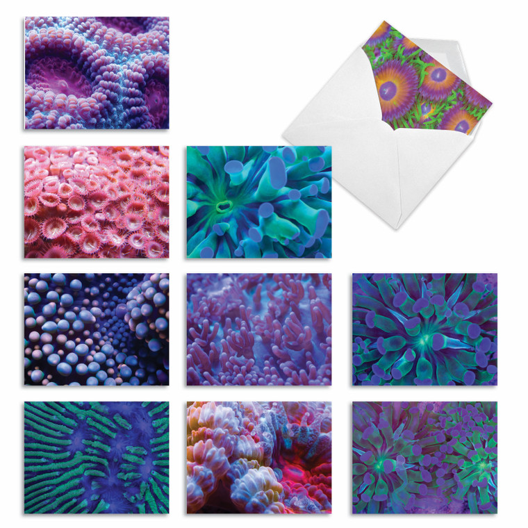 Under The Sea, Assorted Set Of Thank You Notecards - AM3103TYG