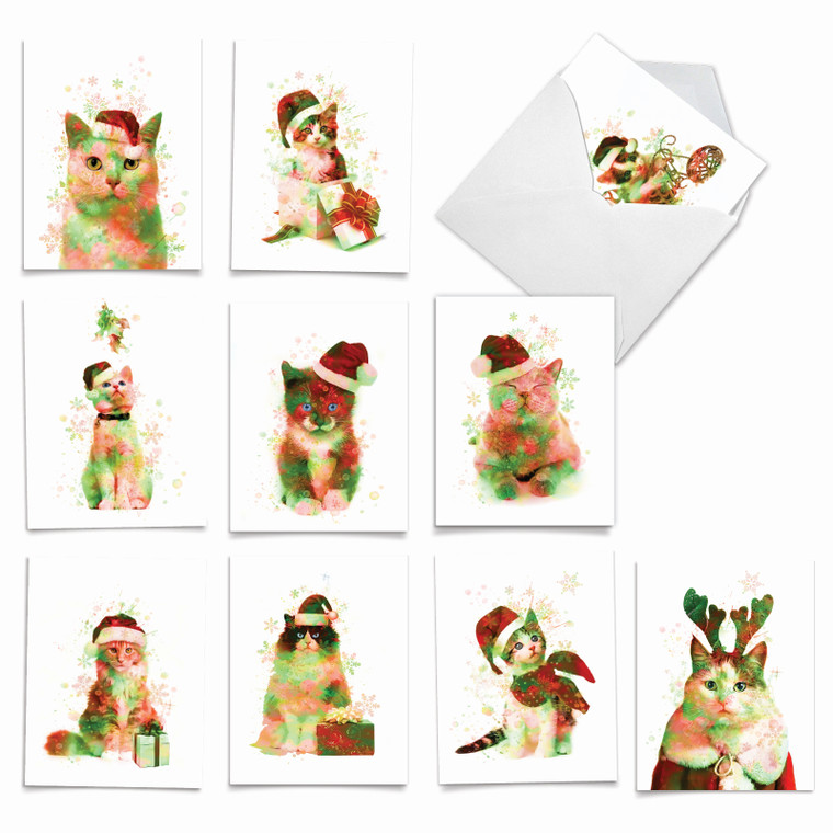 Funky Rainbow Holiday Cats, Assorted Set Of Christmas Notecards - AM6753XSG