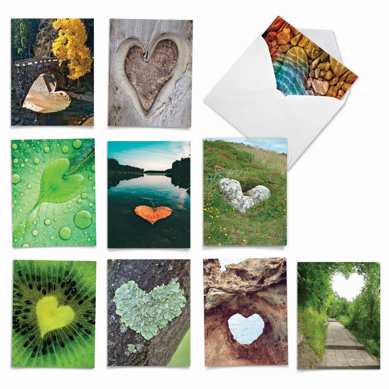 Heartscapes, Assorted Set Of Blank Notecards - AM6838OCB