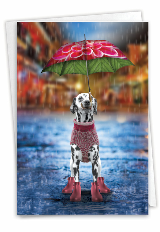 Raining Dogs - Alone, Printed Miss You Greeting Card - C6823HMYG