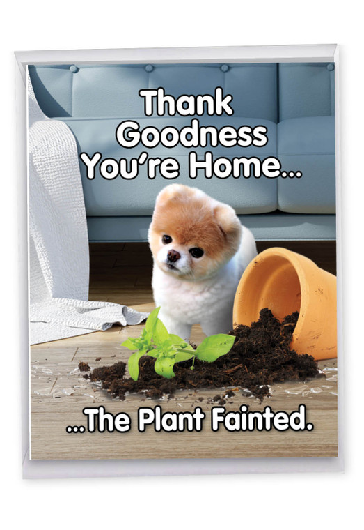 Boo's Plant Fainted, Extra Large Birthday Greeting Card - J6872BDG