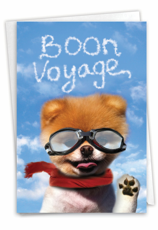 Boon Voyage, Printed Bon Voyage Greeting Card - C6873BVG