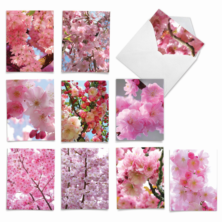 Cherry Blossoms, Assorted Set Of Blank Notecards - AM6861OCB