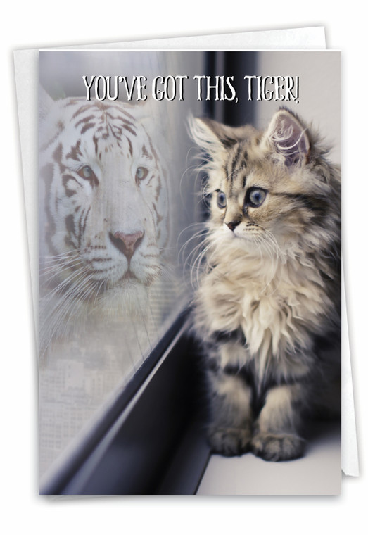 Aspirations - Cat, Printed Friendship Greeting Card - C7076JFRG