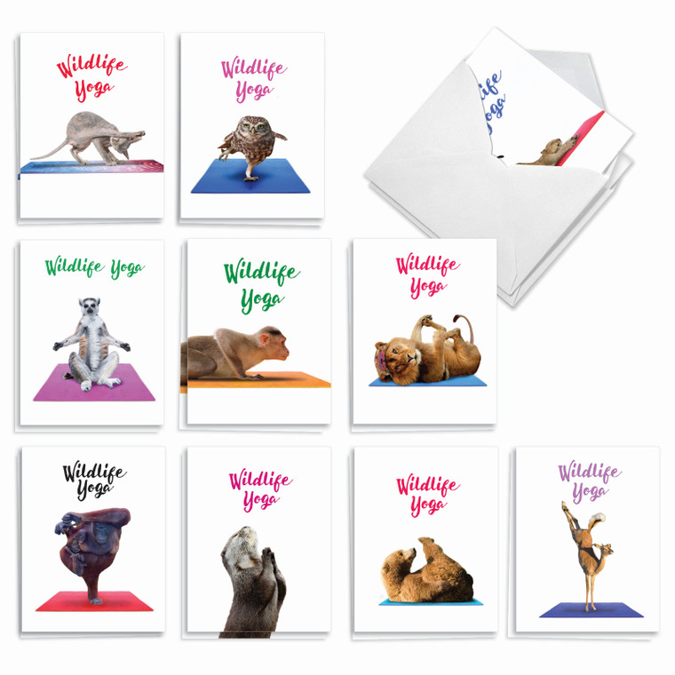 Wildlife Yoga, Assorted Set Of Blank Notecards - AM7030OCB