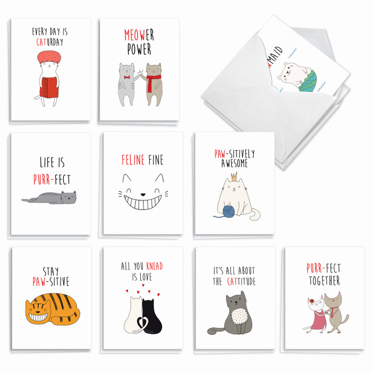 Cat Got Your Tongue, Assorted Set Of Blank Notecards - AM7183OCB