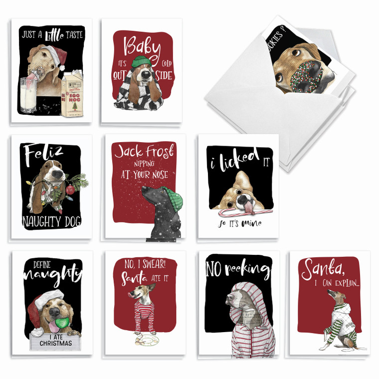 Holiday Dog Antics, Assorted Set Of 20 Printed Christmas Notecards - AM2918XSG