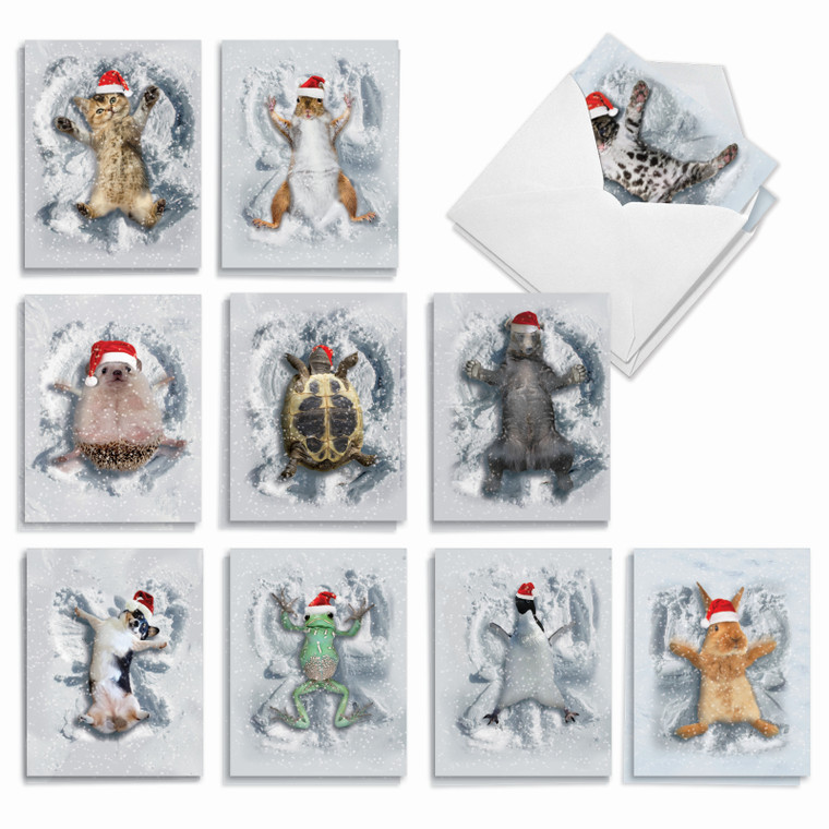 Critter Snow Angels, Assorted Set Of Christmas Notecards - AM4187XSG