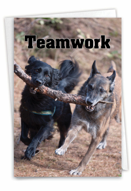 Teamwork, Printed Thank You Greeting Card - C3189FTYG