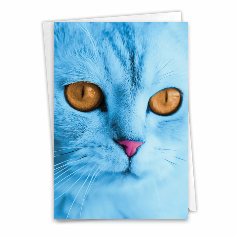 Fancy Feline Faces, Printed Miss You Greeting Card - C7179DMYG