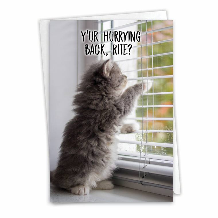 Miss U Kitties, Printed Miss You Greeting Card - C3365HMYG