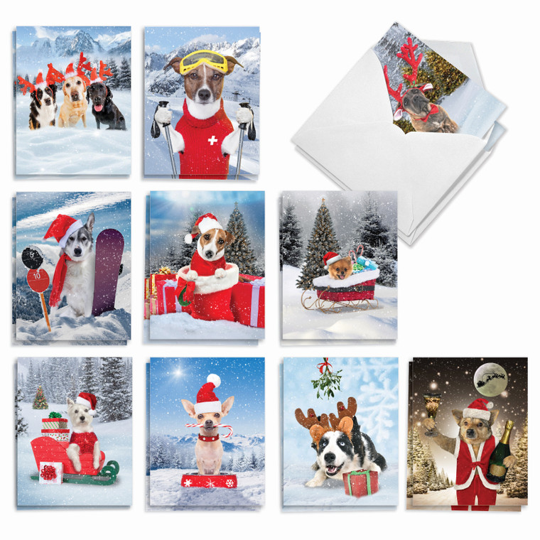 Canine Antics, Assorted Set Of 20 Printed Christmas Notecards - AM3194XSG