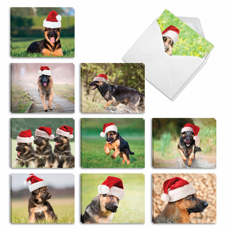 Gorgeous German Shepherds, Assorted Set Of Christmas Notecards - AM6828XSG
