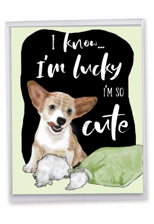 Dog Antics - Pillow Eater, Extra Large Birthday Greeting Card - J3639BBDG