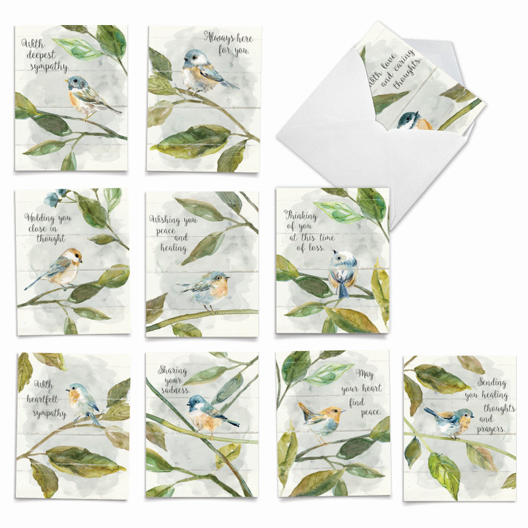 Birds Of Encouragement, Assorted Set Of Sympathy Notecards - AM9144SMG