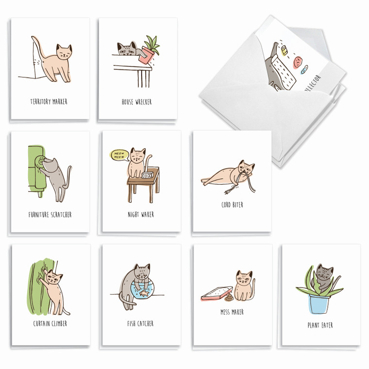 Mischief Cats, Assorted Set Of Blank Notecards - AM9169OCB