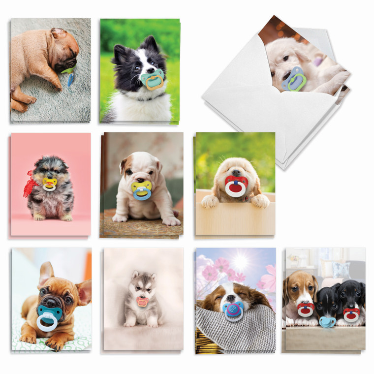 Puppy Pacifiers, Assorted Set Of Blank Notecards - AM9172OCB