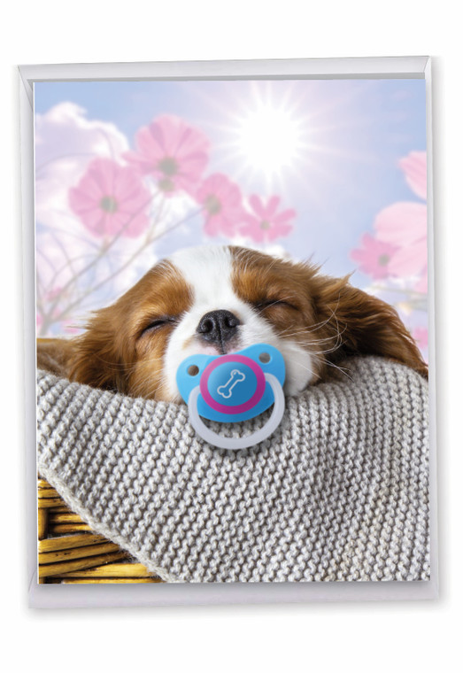 Puppy Pacifiers - Blue, Jumbo Birthday Greeting Card - J9172HBDG