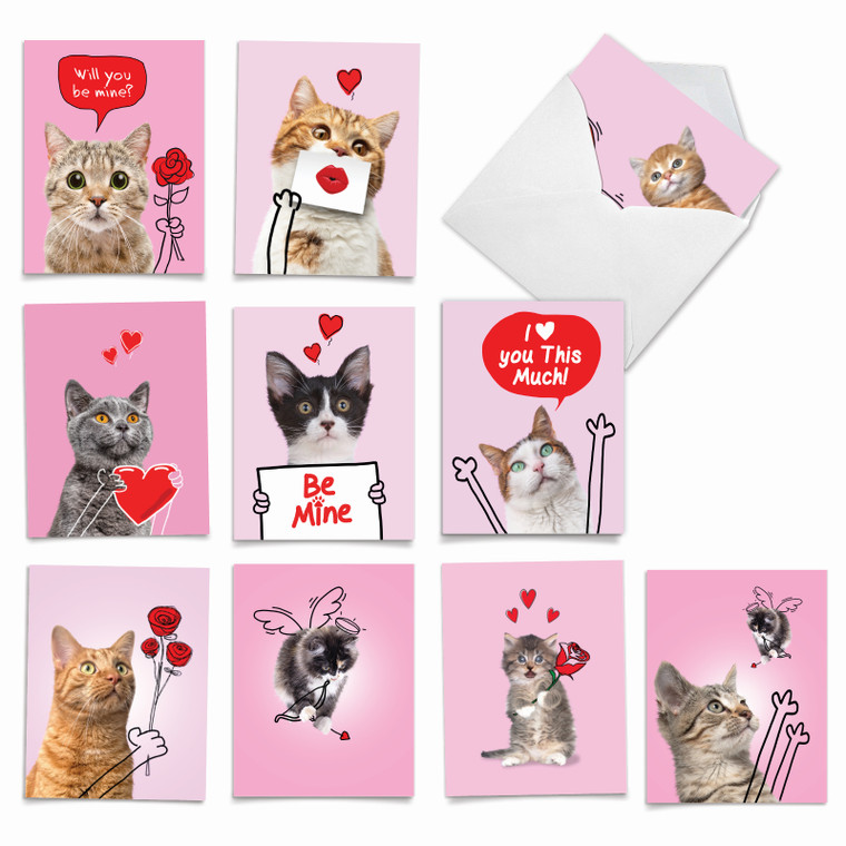 Cat Love Doodles, Assorted Set Of Valentine's Day Notecards - AM9188VDG