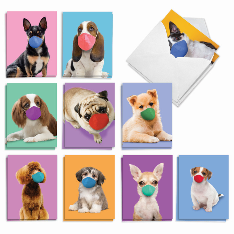 Masked Dogs, Assorted Set Of Blank Notecards - AM9260OCB