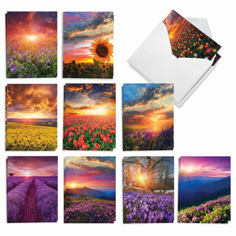 Blooming Sunsets, Assorted Set Of Blank Notecards - AM9263OCB