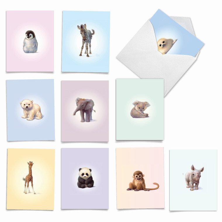 Zoo Babies, Assorted Set Of Blank Notecards - AM6726OC