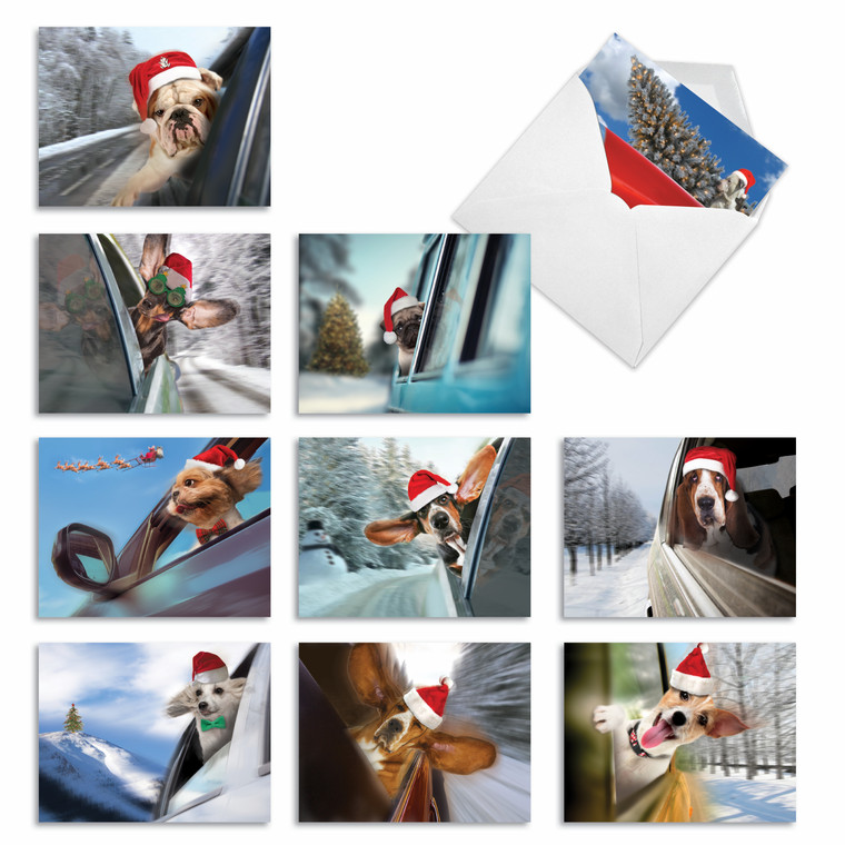 Doggie In The Window, Assorted Set Of Blank Notecards - AM6481XSB