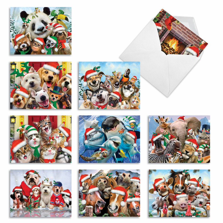 Merry Christmas to Zoo, Assorted Set Of Blank Notecards - AM6652XSB