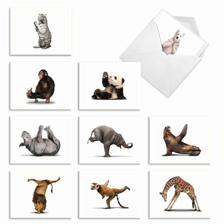 Zoo Yoga, Assorted Set Of Blank Notecards - AM6547OCB