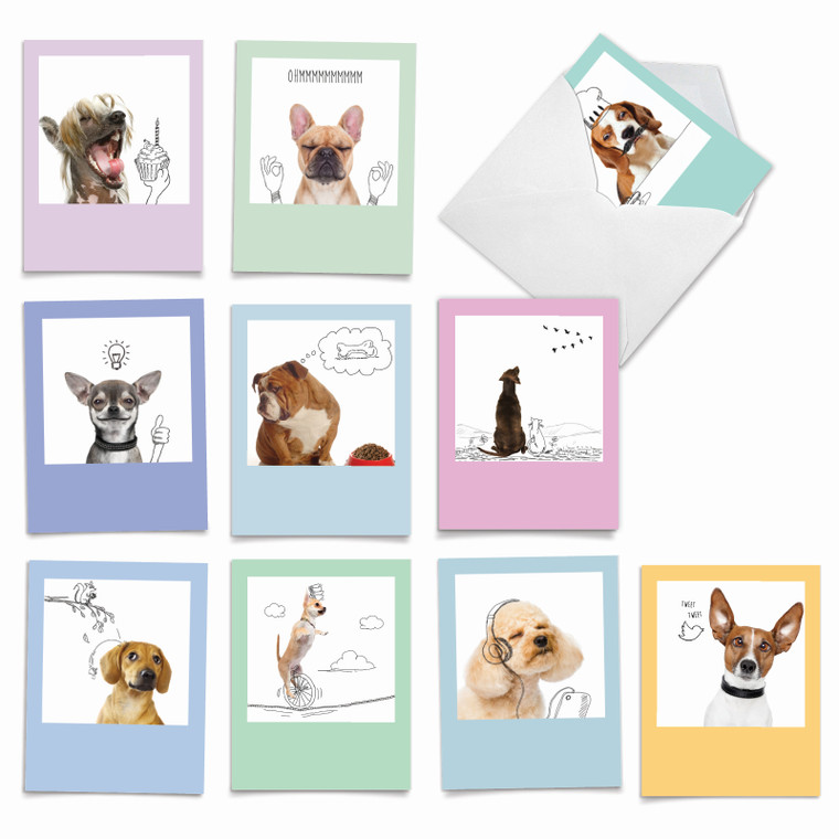 Dogs & Doodles, Assorted Set Of Blank Notecards - AM6582OCB