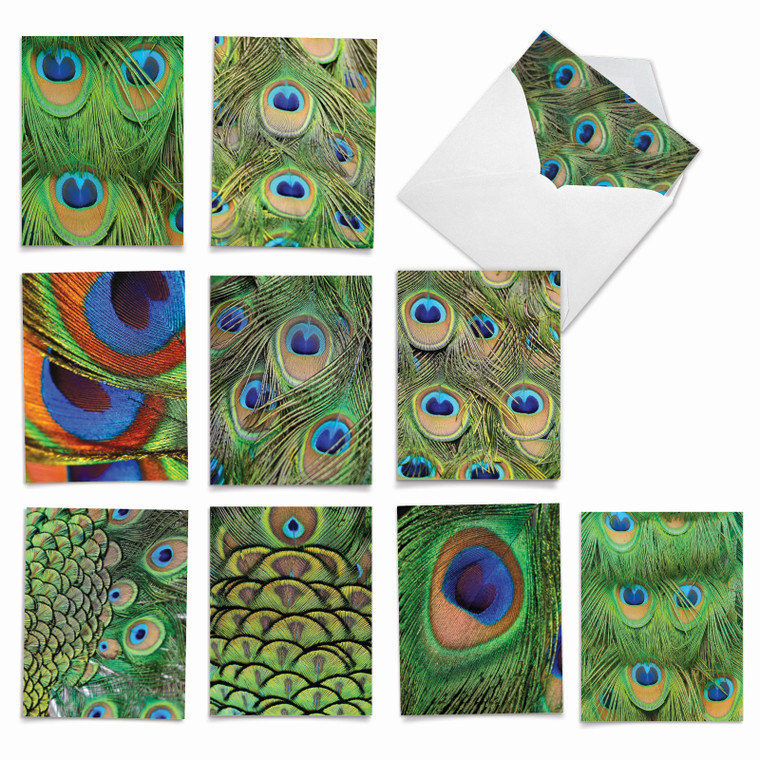 Fancy Feathers, Assorted Set Of Blank Notecards - AM2003OCB