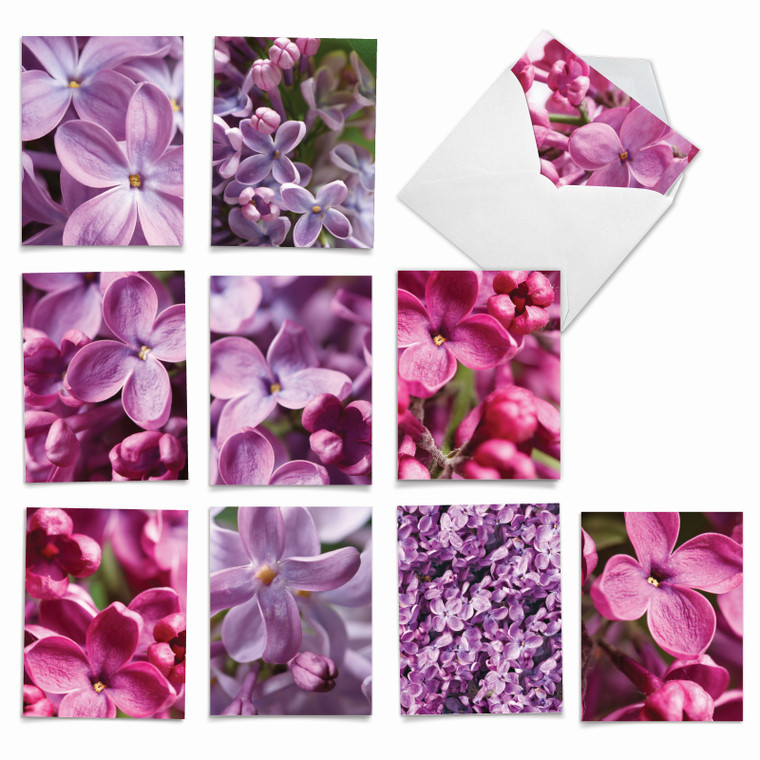 The Color Purple, Assorted Set Of Blank Notecards - AM6032OCB