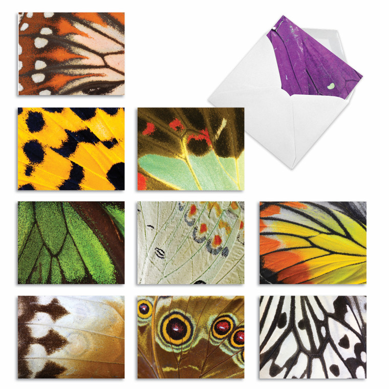 Wing It, Assorted Set Of Blank Notecards - AM3108OCB